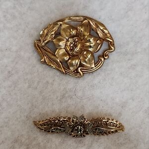 2 Vintage Pins